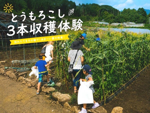 ■【山梨】夏の自然をまるかじり!「川魚つかみ取り・とうもろこし収穫・旬のフルーツ狩り」のトリプル体験♪その場で味わう川魚塩焼き&焼きとうもろこしに、旬のフルーツ食べ放題♪2